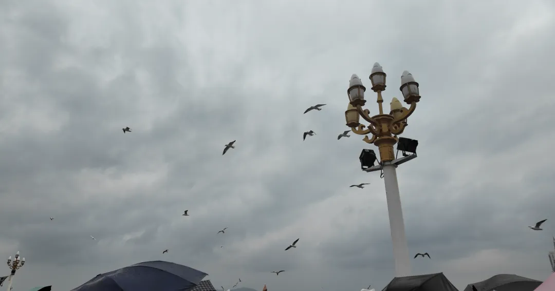 青岛五日游攻略：实地游玩后的详细总结和路线景点参考，让你的旅行计划更完善-张兴举个人网站