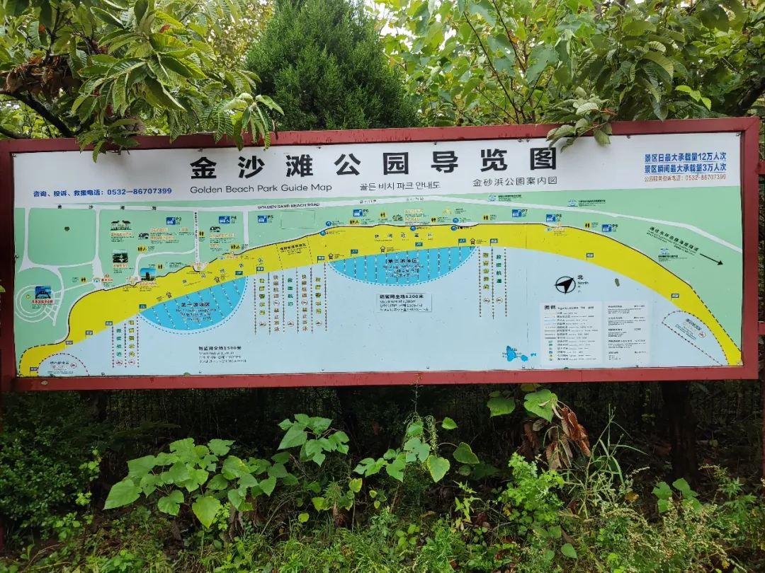 青岛五日游攻略：实地游玩后的详细总结和路线景点参考，让你的旅行计划更完善-张兴举个人网站