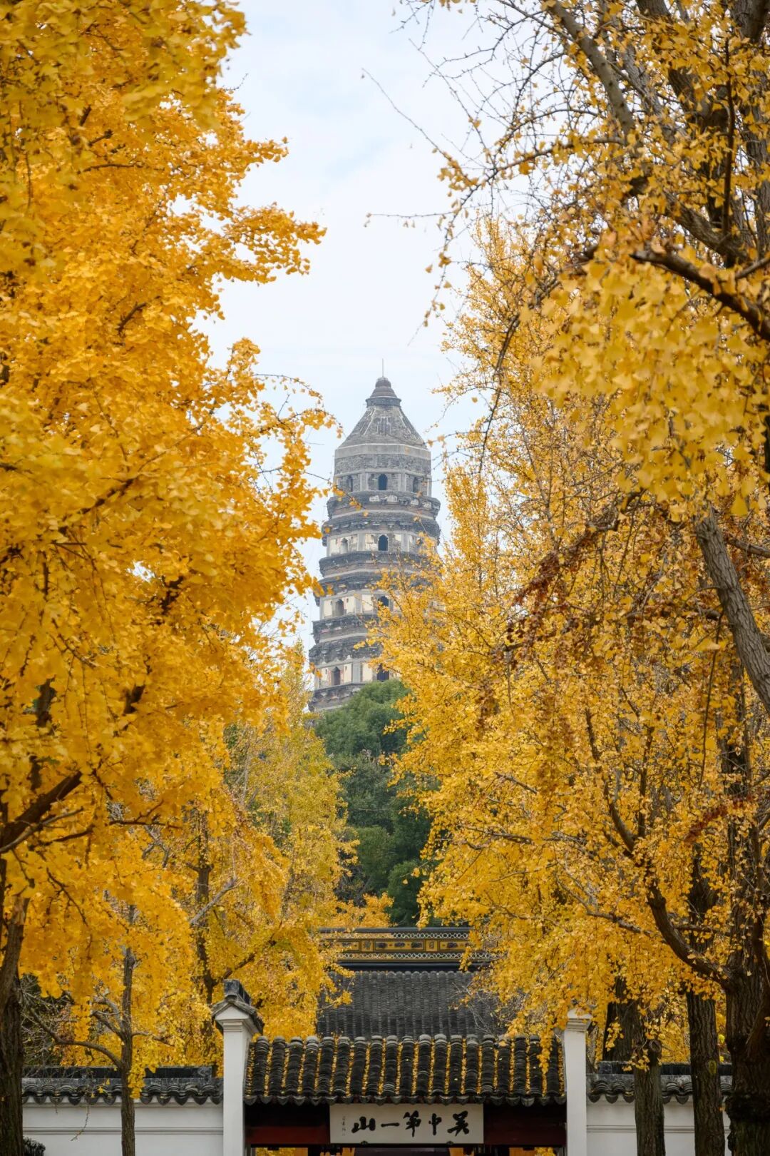 苏州五日游攻略：12月深秋的姑苏真实游玩体验分享，行程主打赏秋，顺带看猫