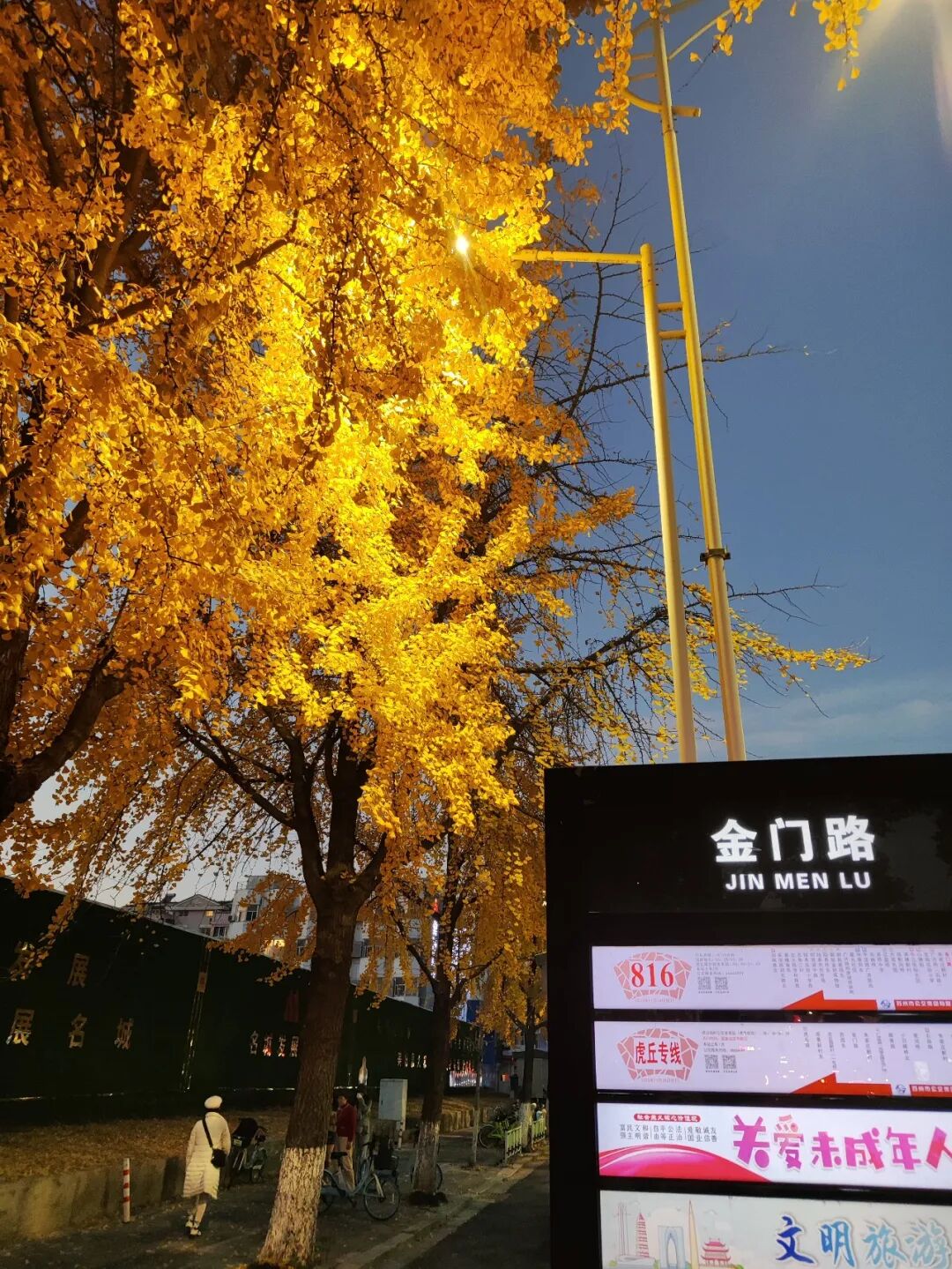 苏州五日游攻略:12月深秋的姑苏真实游玩体验分享,行程主打赏秋,顺带看猫-张兴举个人网站 苏州五日游攻略:12月深秋的姑苏真实游玩体验分享,行程主打赏秋,顺带看猫-张兴举个人网站
