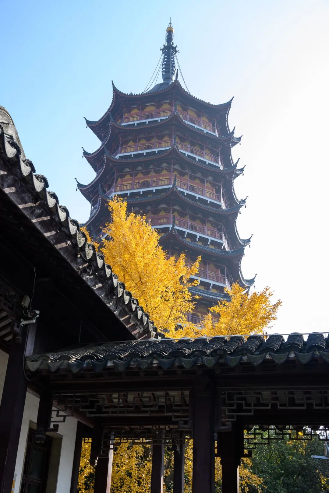 苏州五日游攻略:12月深秋的姑苏真实游玩体验分享,行程主打赏秋,顺带看猫-张兴举个人网站 苏州五日游攻略:12月深秋的姑苏真实游玩体验分享,行程主打赏秋,顺带看猫-张兴举个人网站