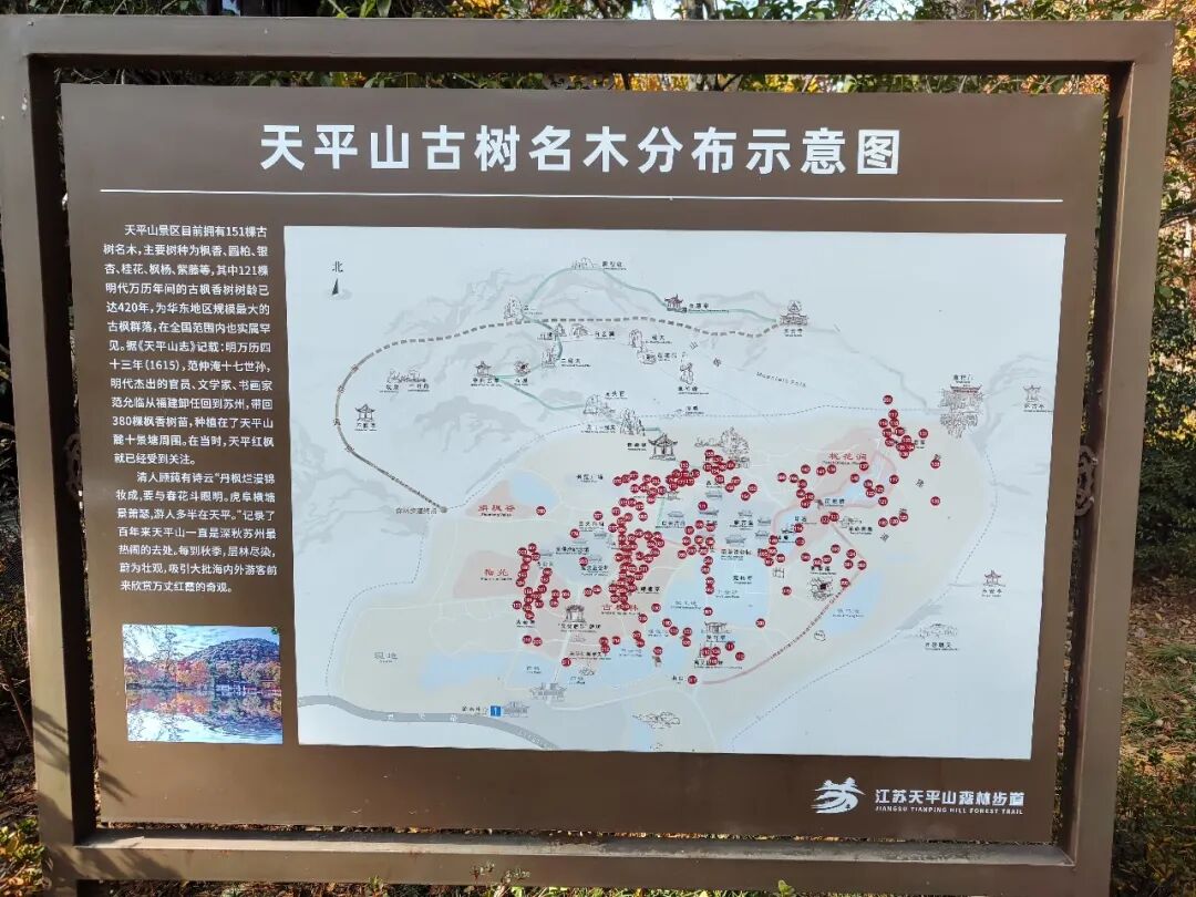 苏州五日游攻略:12月深秋的姑苏真实游玩体验分享,行程主打赏秋,顺带看猫-张兴举个人网站 苏州五日游攻略:12月深秋的姑苏真实游玩体验分享,行程主打赏秋,顺带看猫-张兴举个人网站