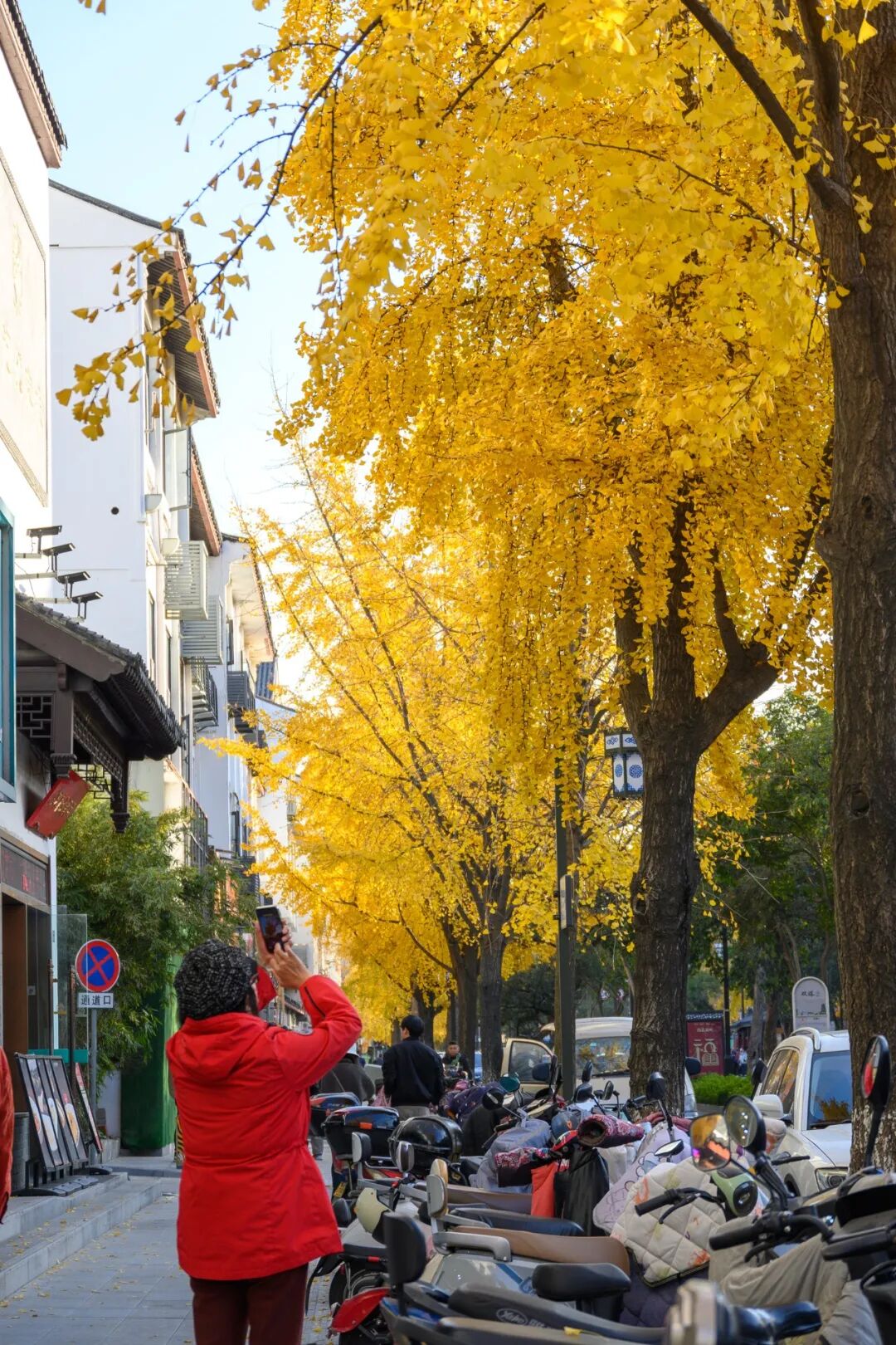 苏州五日游攻略:12月深秋的姑苏真实游玩体验分享,行程主打赏秋,顺带看猫-张兴举个人网站 苏州五日游攻略:12月深秋的姑苏真实游玩体验分享,行程主打赏秋,顺带看猫-张兴举个人网站